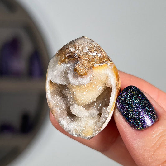 Druzy Fossilized Shells