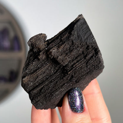 Fossilized Druzy Wood