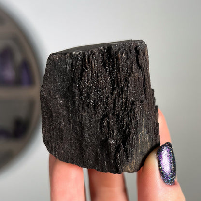 Fossilized Druzy Wood