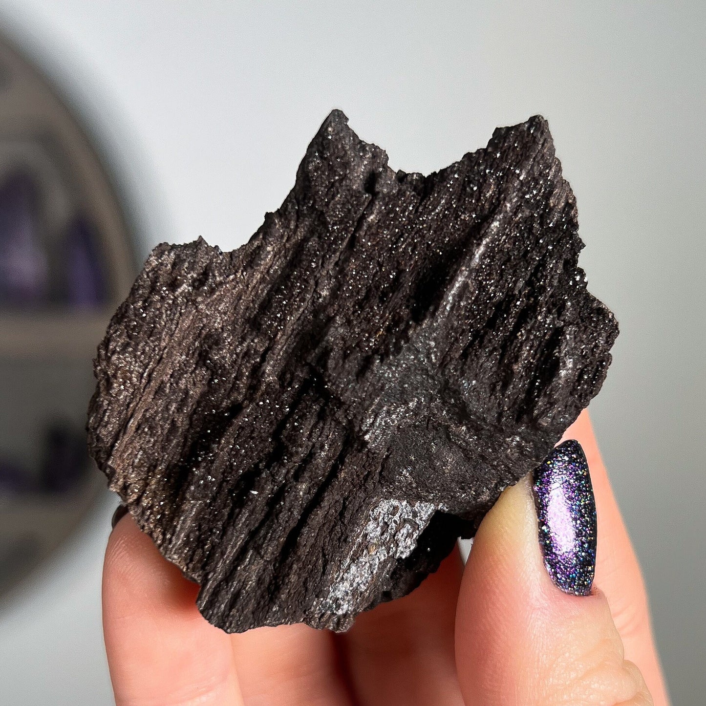 Fossilized Druzy Wood