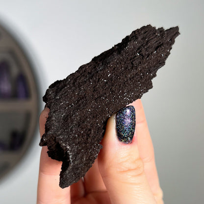 Fossilized Druzy Wood