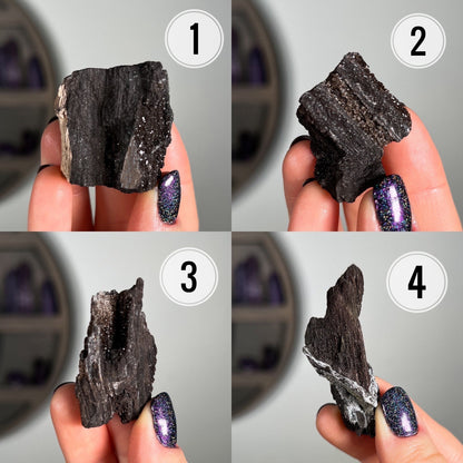 Fossilized Druzy Wood