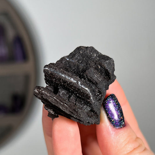 Fossilized Druzy Wood