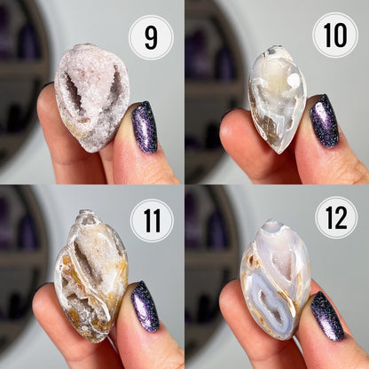 Druzy Fossilized Shells
