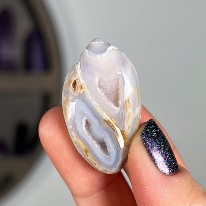 Druzy Fossilized Shells
