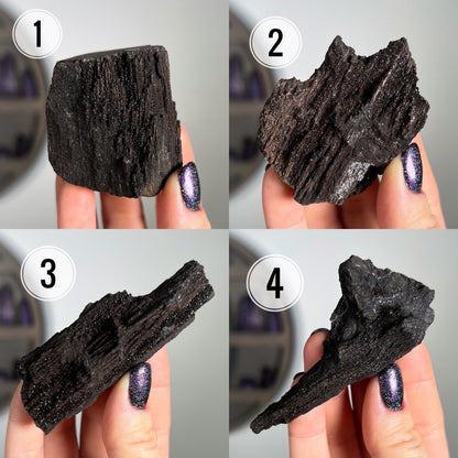 Fossilized Druzy Wood