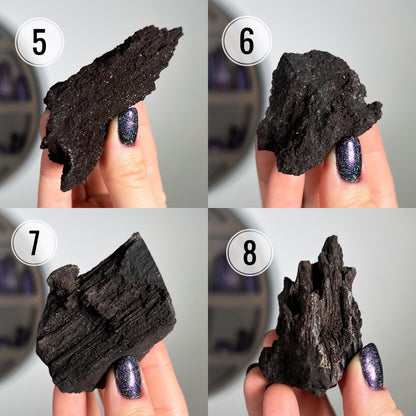 Fossilized Druzy Wood