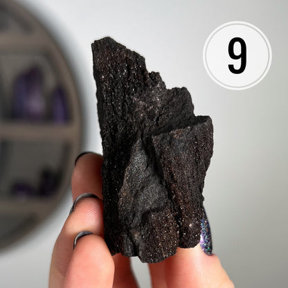 Fossilized Druzy Wood