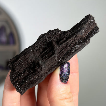 Fossilized Druzy Wood