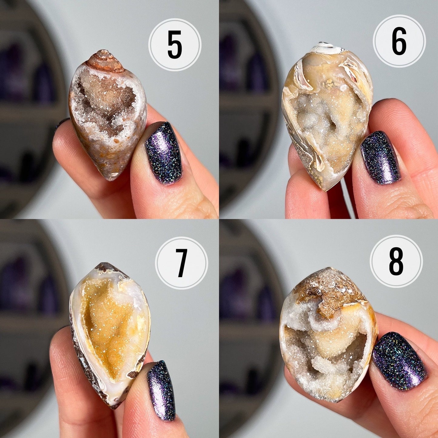 Druzy Fossilized Shells