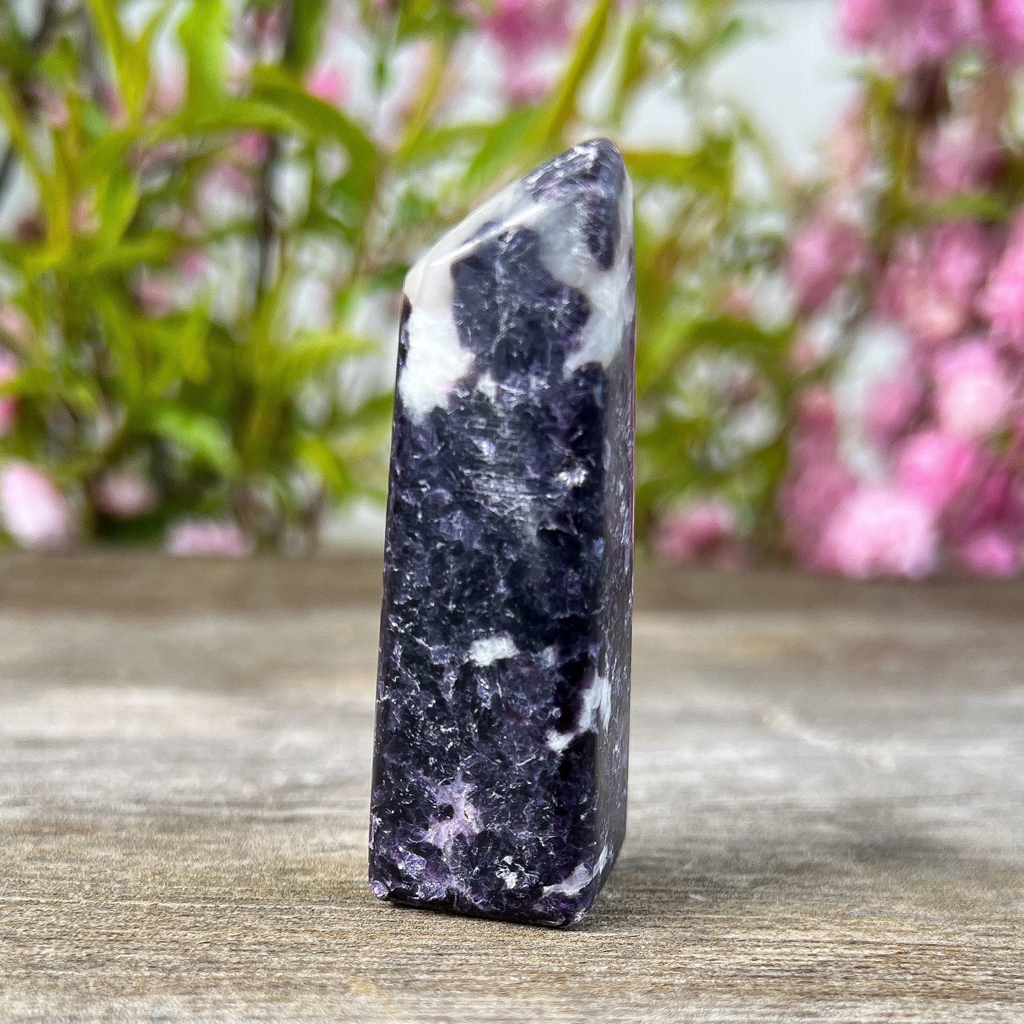 Storm Euphoralite