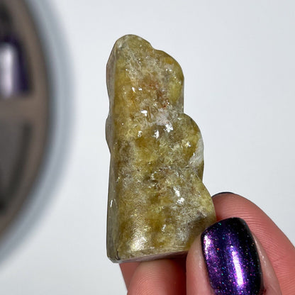 Pangea Euphoralite Alien