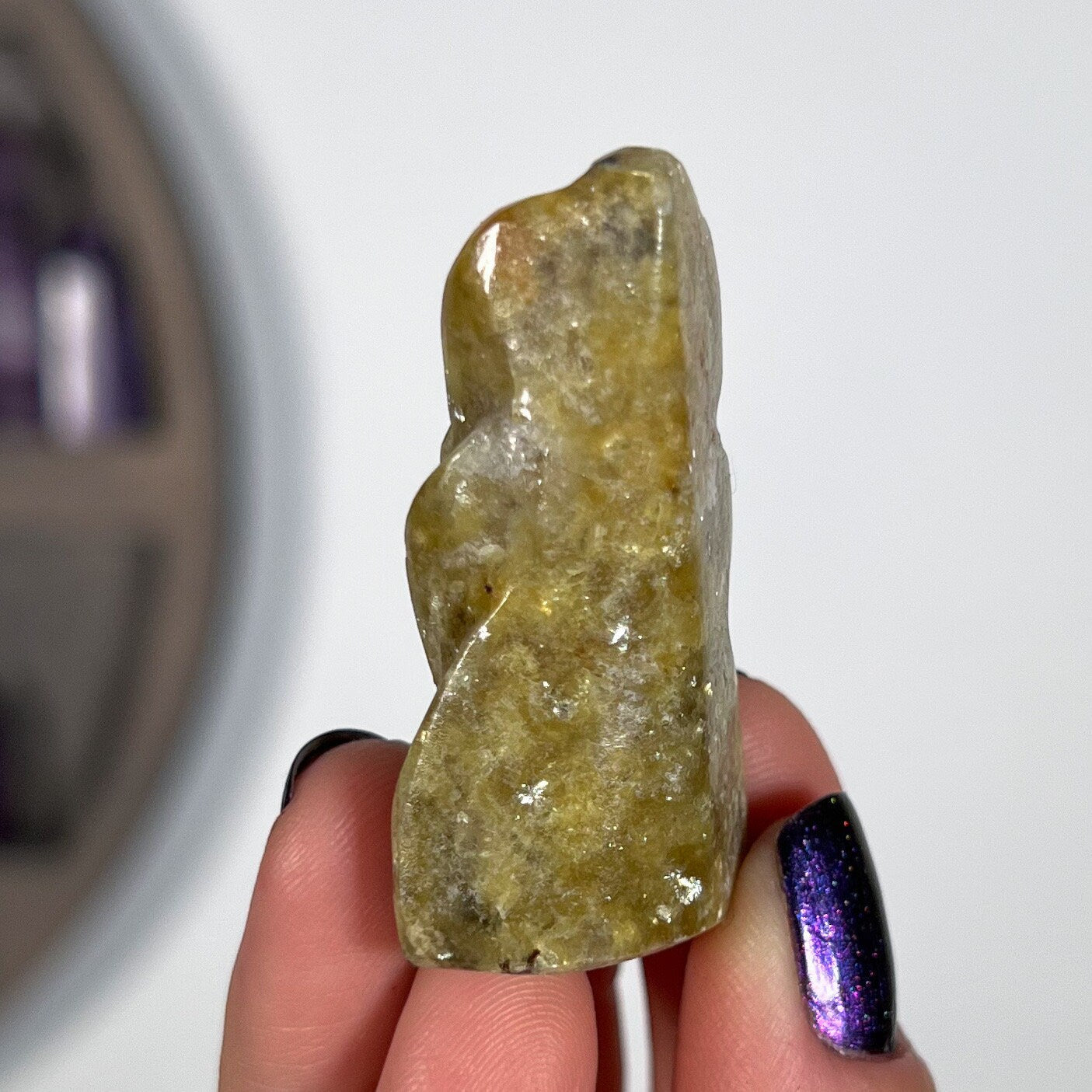 Pangea Euphoralite Alien