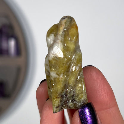 Pangea Euphoralite Alien
