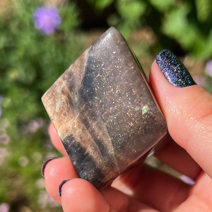 Lattice Confetti Sunstone Freeform