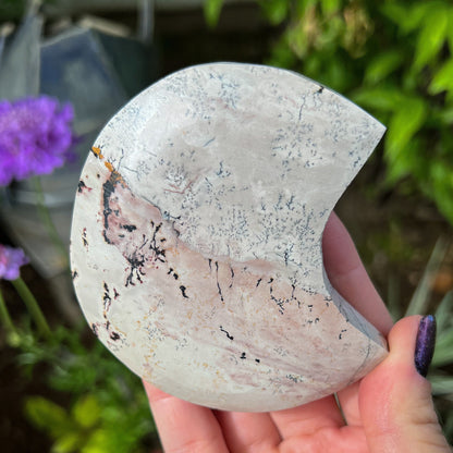 Picture Jasper Moon