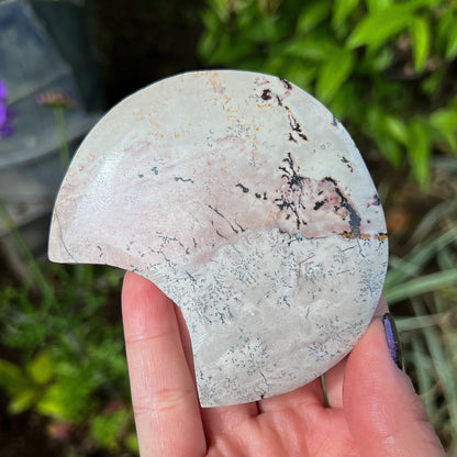 Picture Jasper Moon