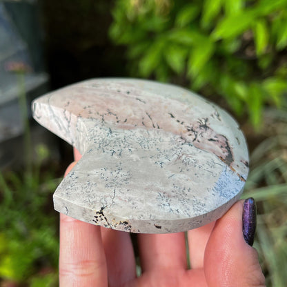 Picture Jasper Moon