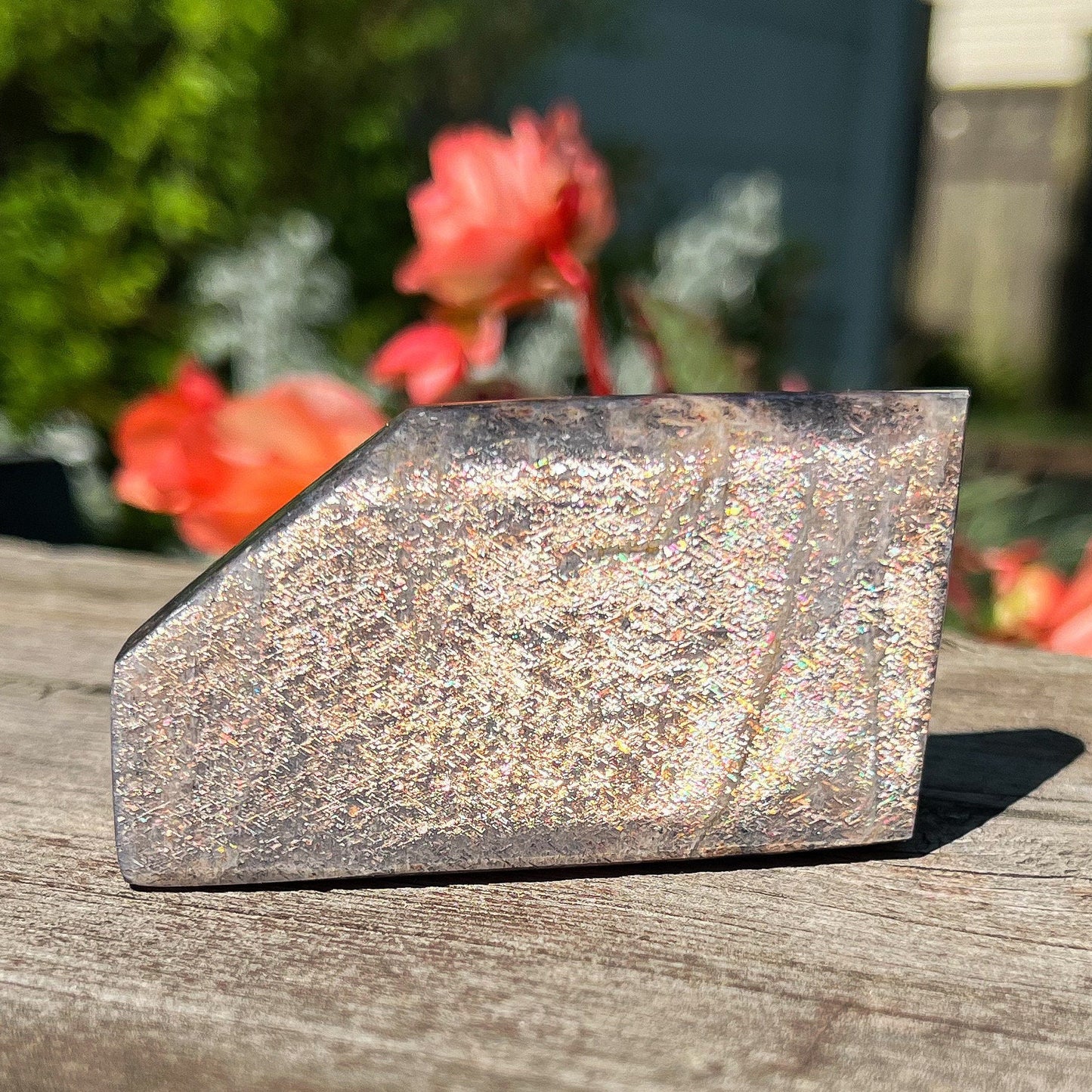 Lattice Confetti Sunstone Freeform