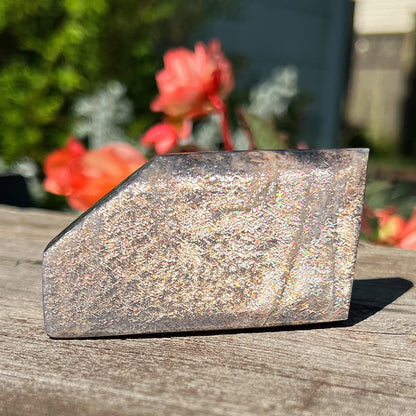 Lattice Confetti Sunstone Freeform