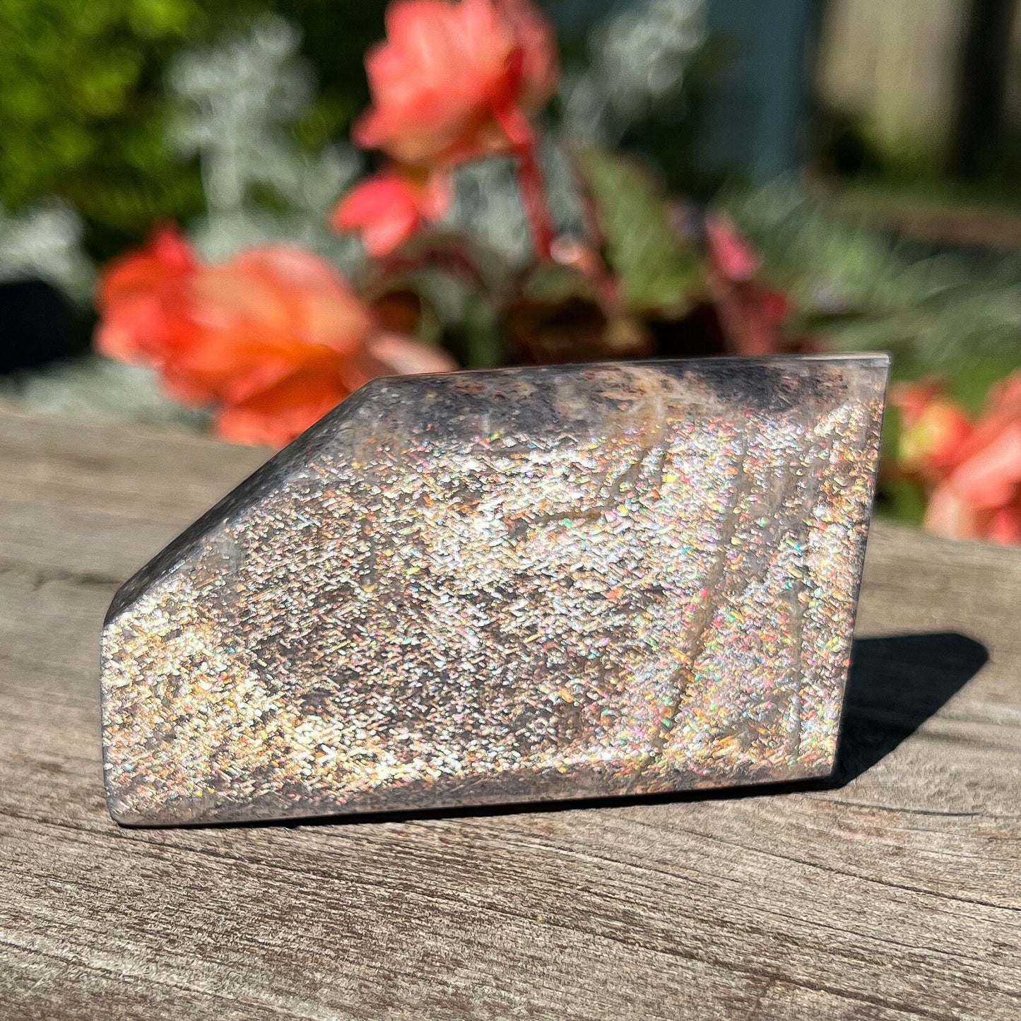 Lattice Confetti Sunstone Freeform