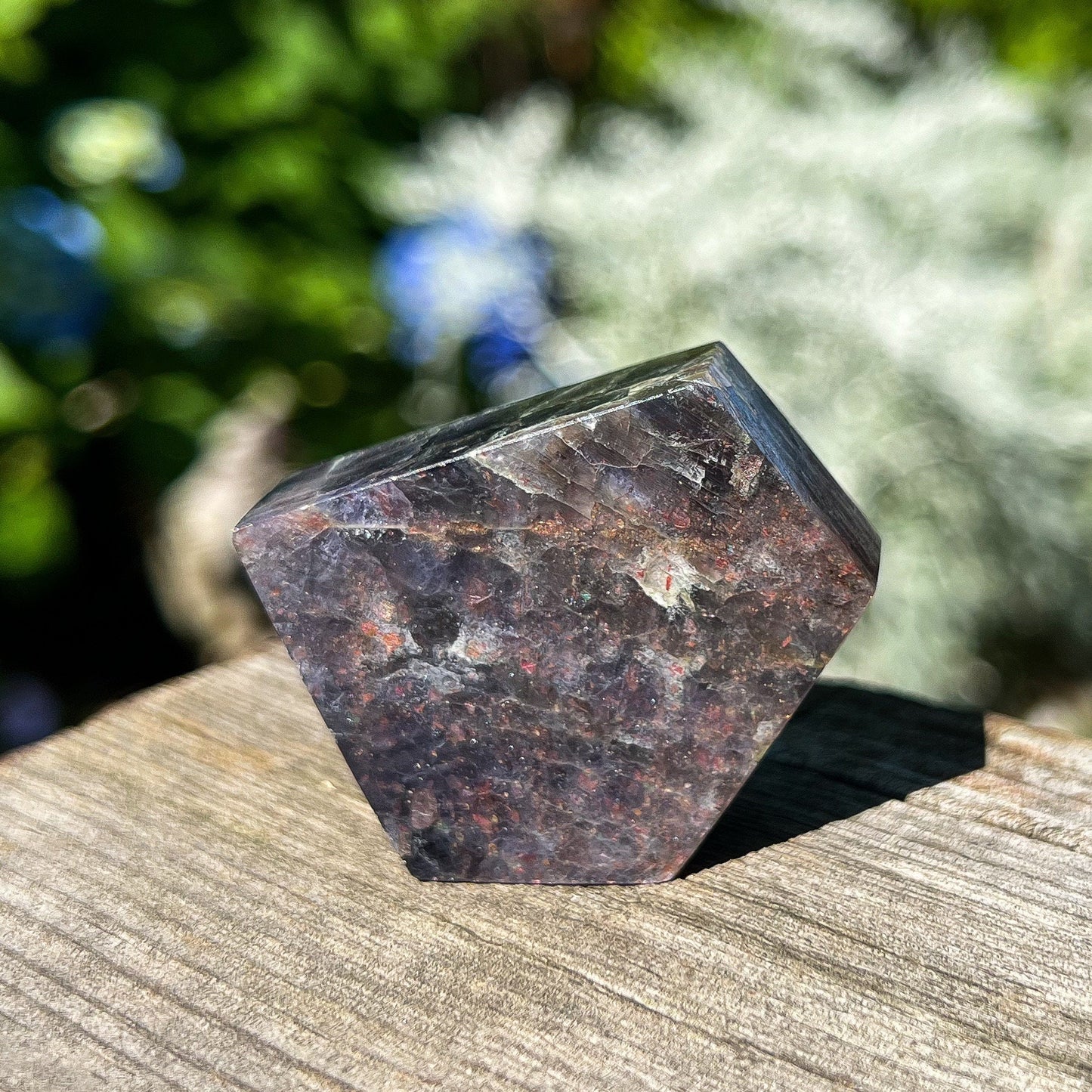 Bloodshot Iolite Freeform