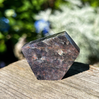Bloodshot Iolite Freeform