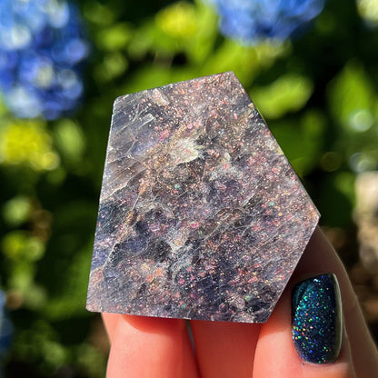 Bloodshot Iolite Freeform