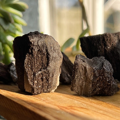 Fossilized Druzy Wood