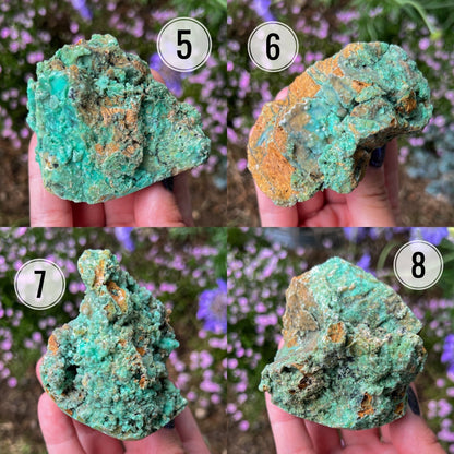 Green Smithsonite Specimens