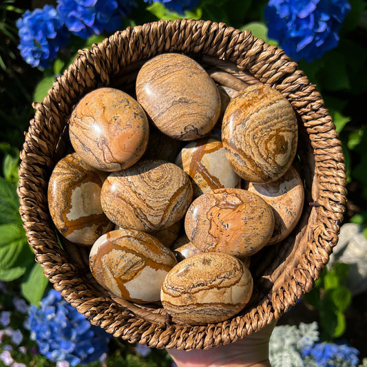 Picture Jasper Palm Stones
