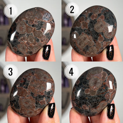 Peanut Obsidian Palm Stones