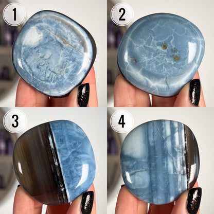 Blue Owyhee Opal Flat Palm