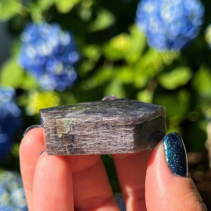 Bloodshot Iolite Freeform