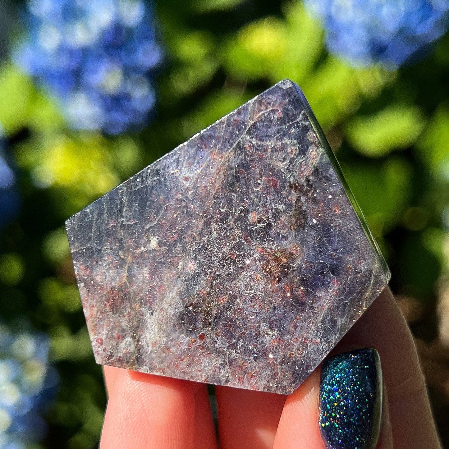Bloodshot Iolite Freeform