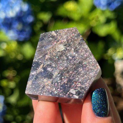 Bloodshot Iolite Freeform