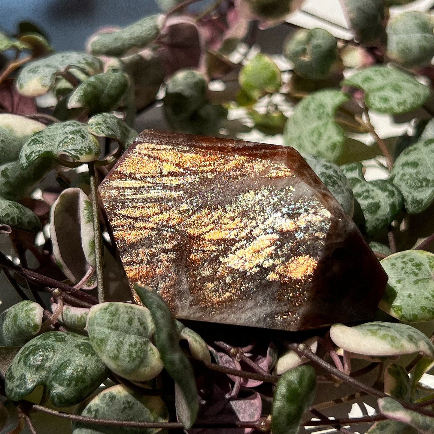 Red Sunstone Freeform