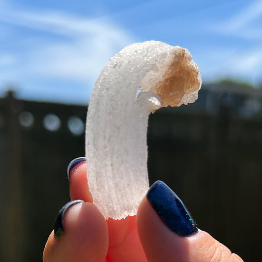 Rams Horn Selenite