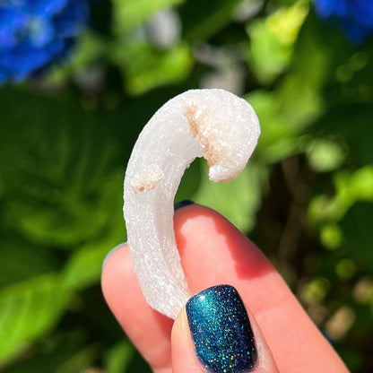 Rams Horn Selenite