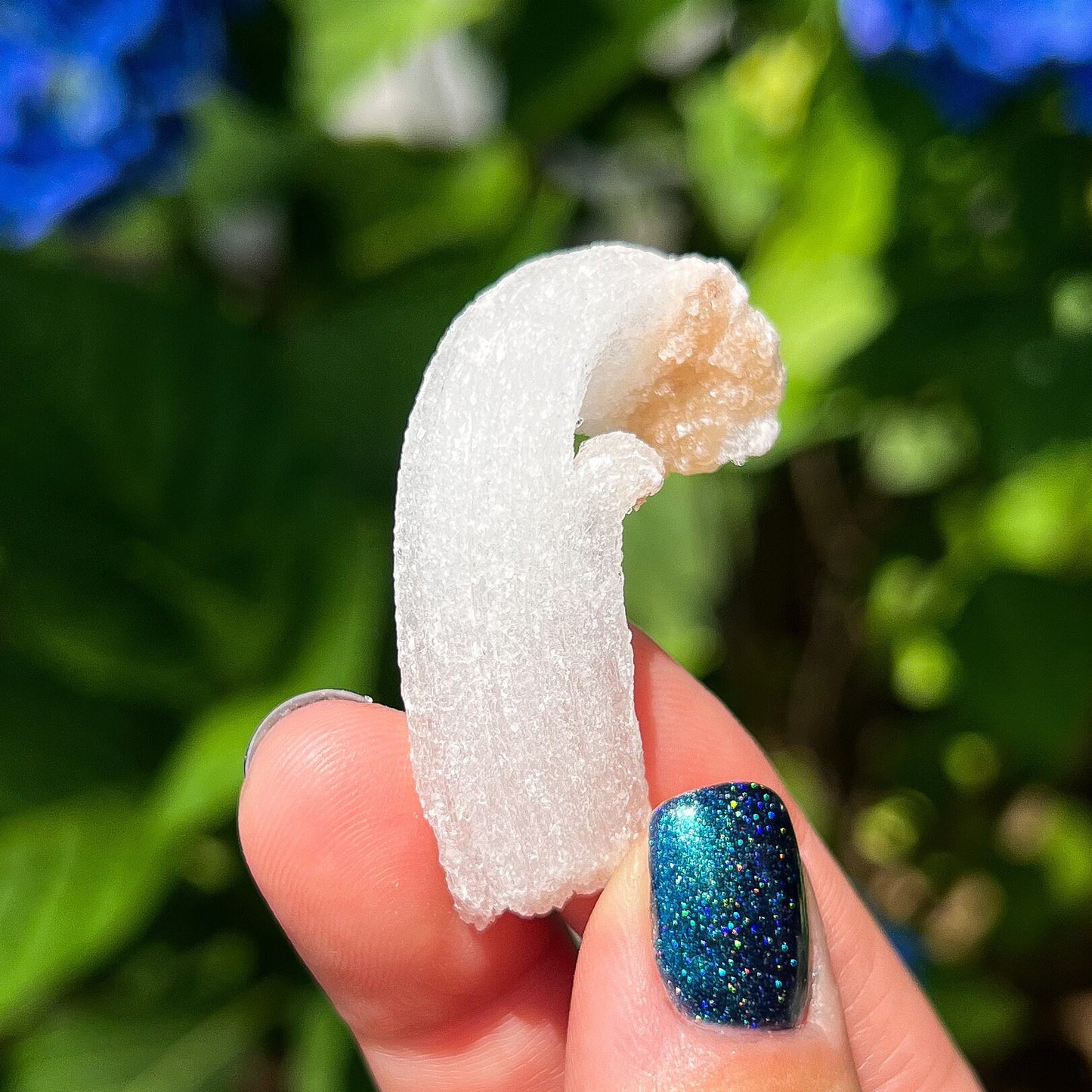 Rams Horn Selenite