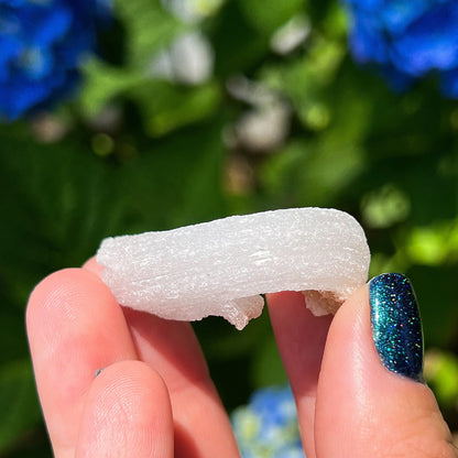 Rams Horn Selenite