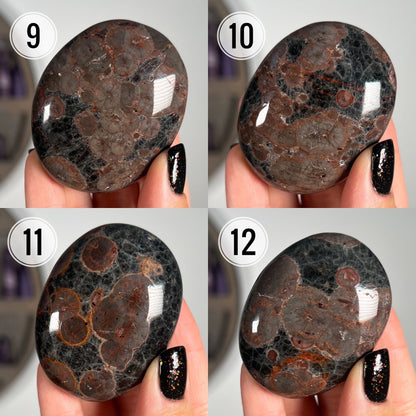 Peanut Obsidian Palm Stones