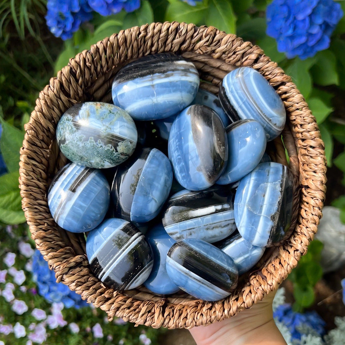 Blue Owyhee Opal Palm Pocket Stone