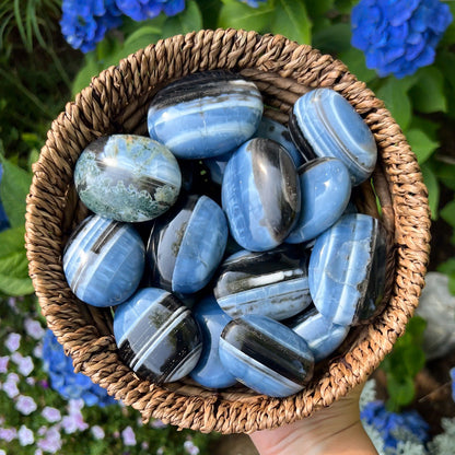 Blue Owyhee Opal Palm Pocket Stone