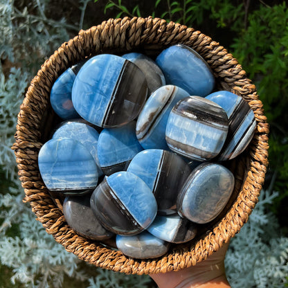 Blue Owyhee Opal Flat Palm