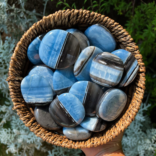 Blue Owyhee Opal Flat Palm