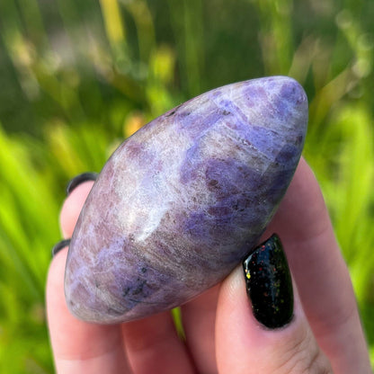 Lavender Purple Jade Rice
