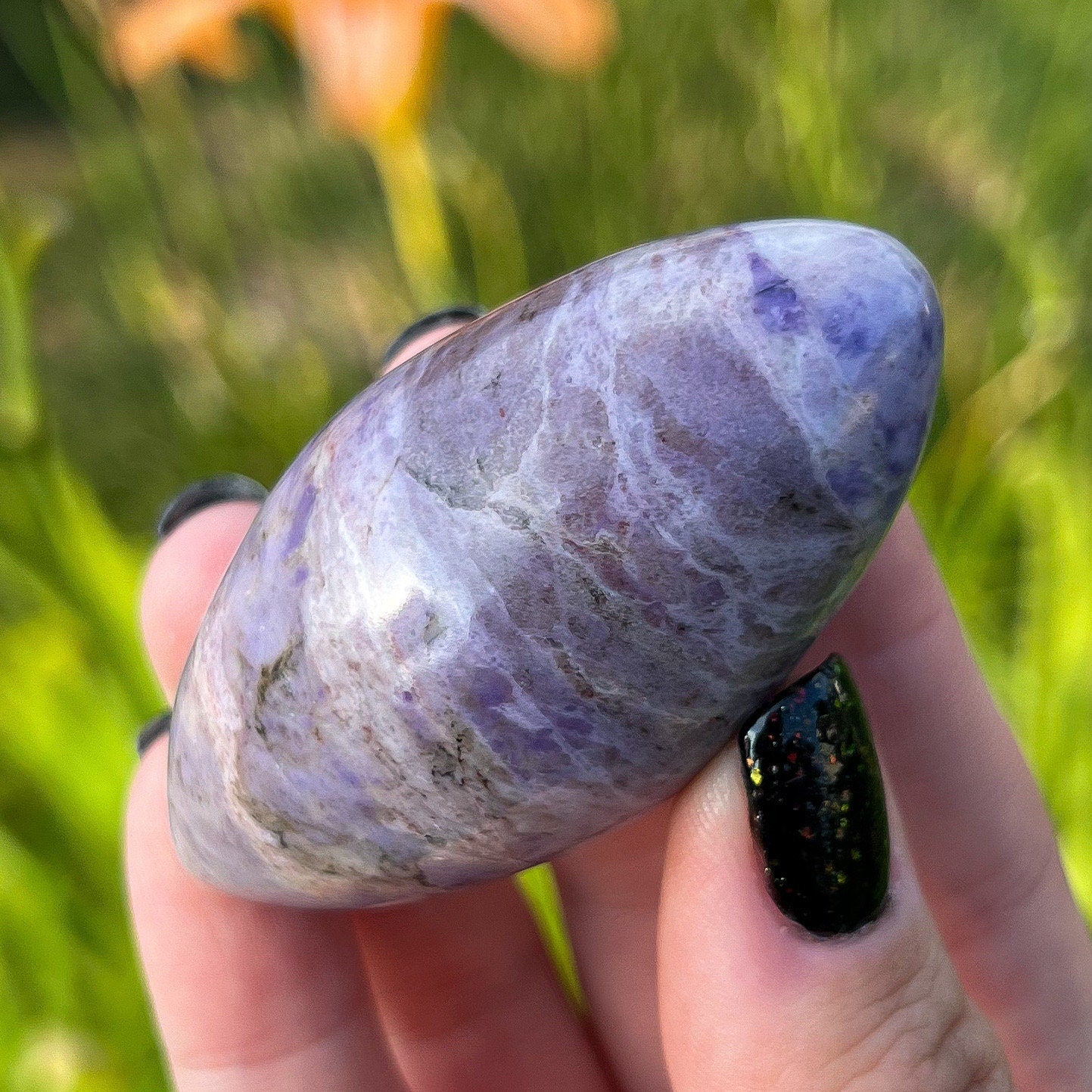 Lavender Purple Jade Rice
