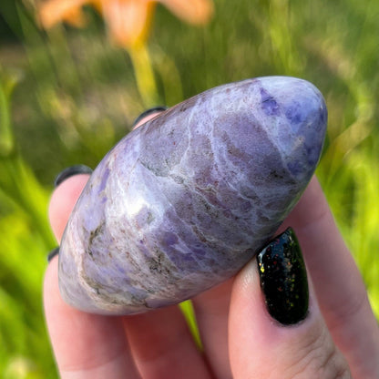 Lavender Purple Jade Rice