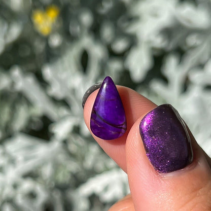 Sugilite Teardrop Cabochon